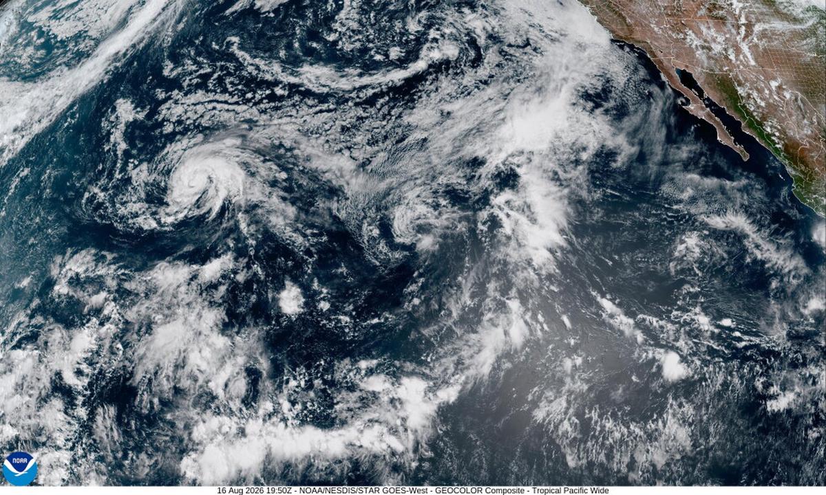 Ardua labor de limpieza en Hawai tras paso de huracán Lala
