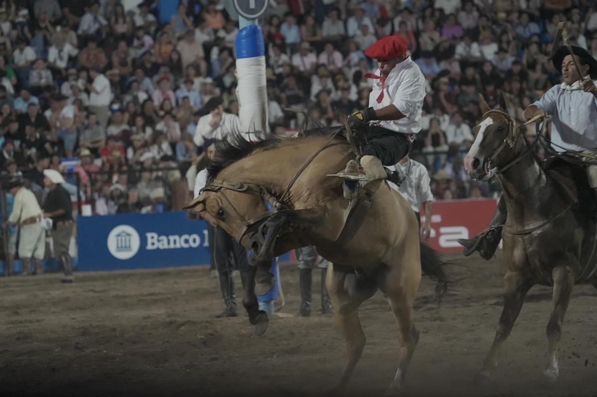 FOTO: El Festival de Jesús María a puro color y coraje.  