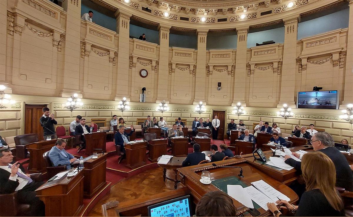 FOTO: Santa Fe: Senado da media sanción a proyecto para expropiar la planta de Dow.