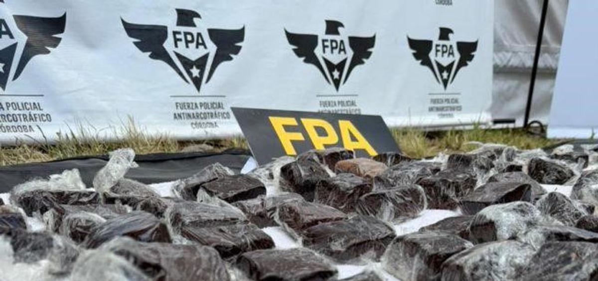 Detenidos por vender brownies de marihuana en Cosquín Rock