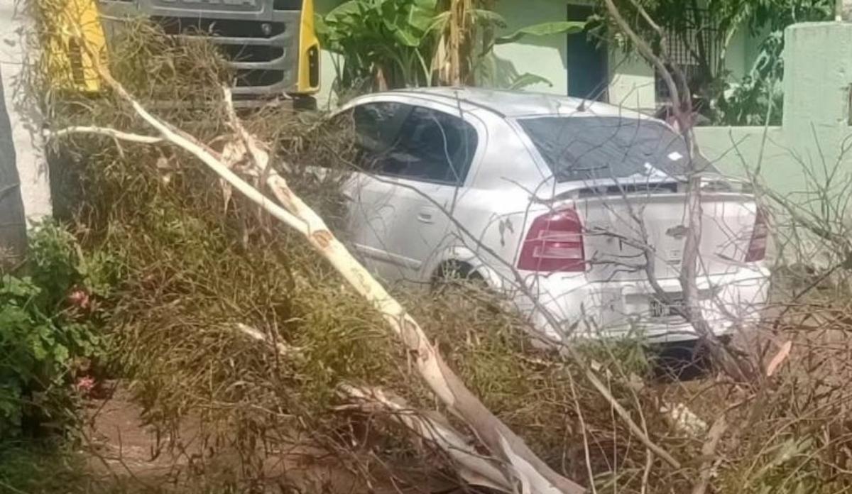 FOTO: Temporal en Coronel Moldes