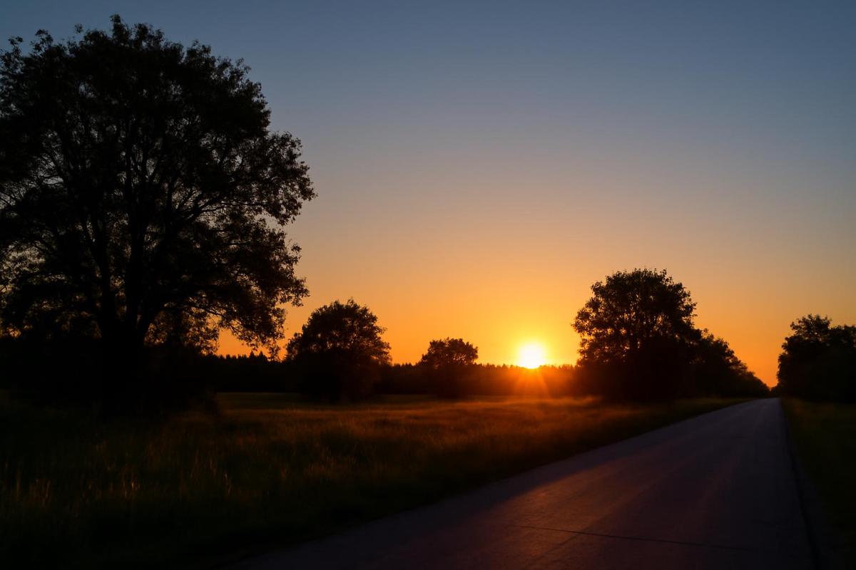 Clima en Mendoza: pronóstico del tiempo para el 25 de febrero