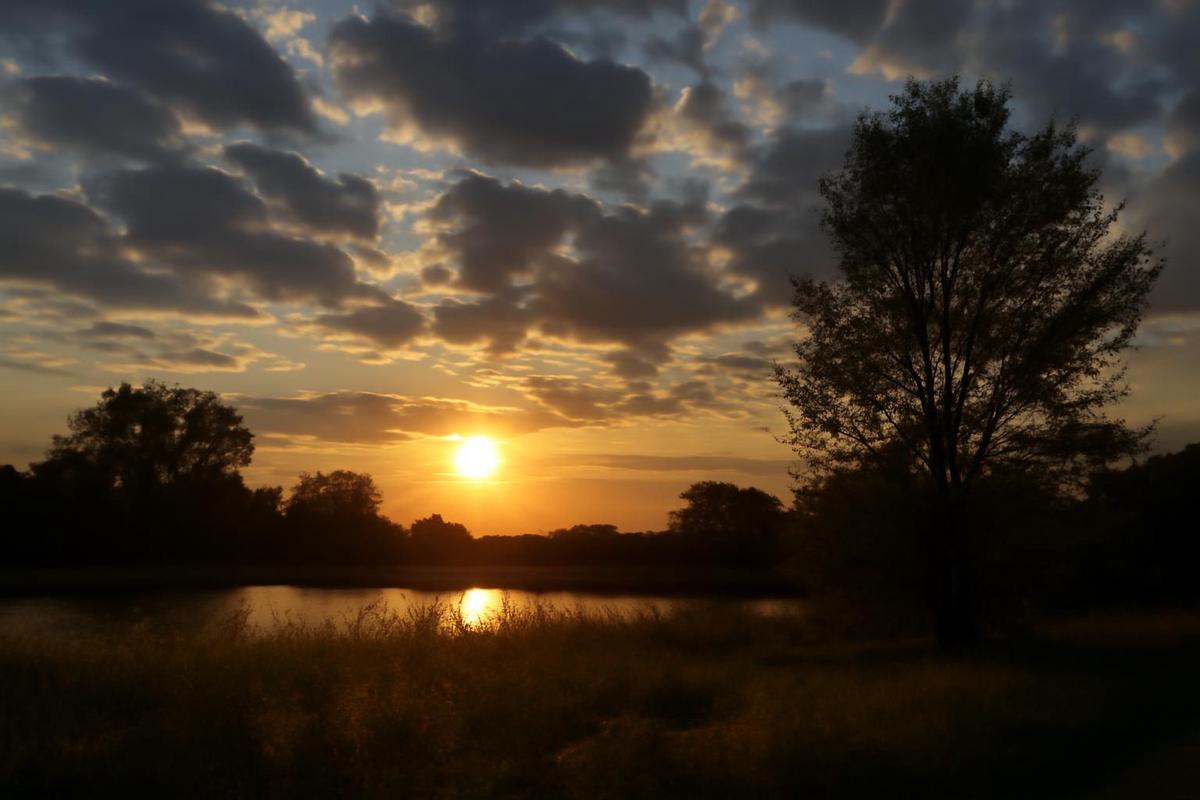 Clima en CABA: pronóstico del tiempo para el viernes 25 de septiembre