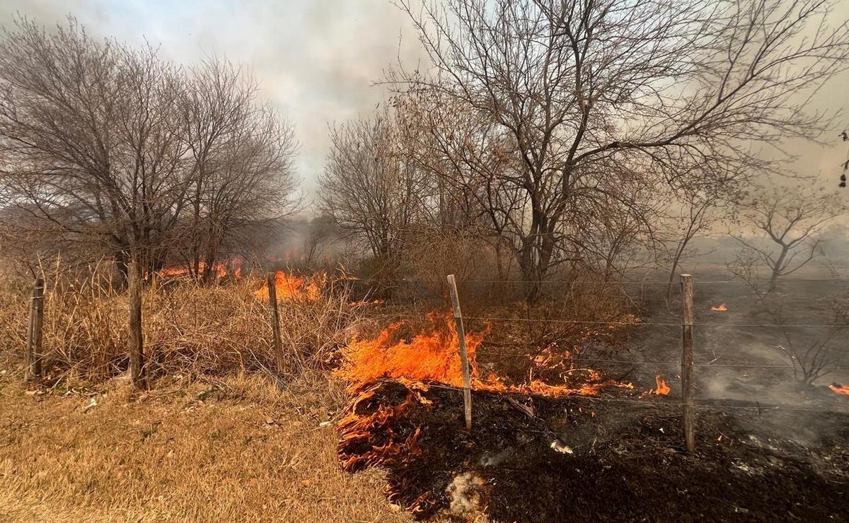 FOTO: Avanza el fuego en La Calera y crece el pánico por el incendio (Foto: Daniel Cáceres)