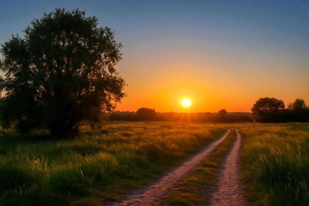 Clima en Santa Fe: pronóstico del tiempo para el 31 de enero