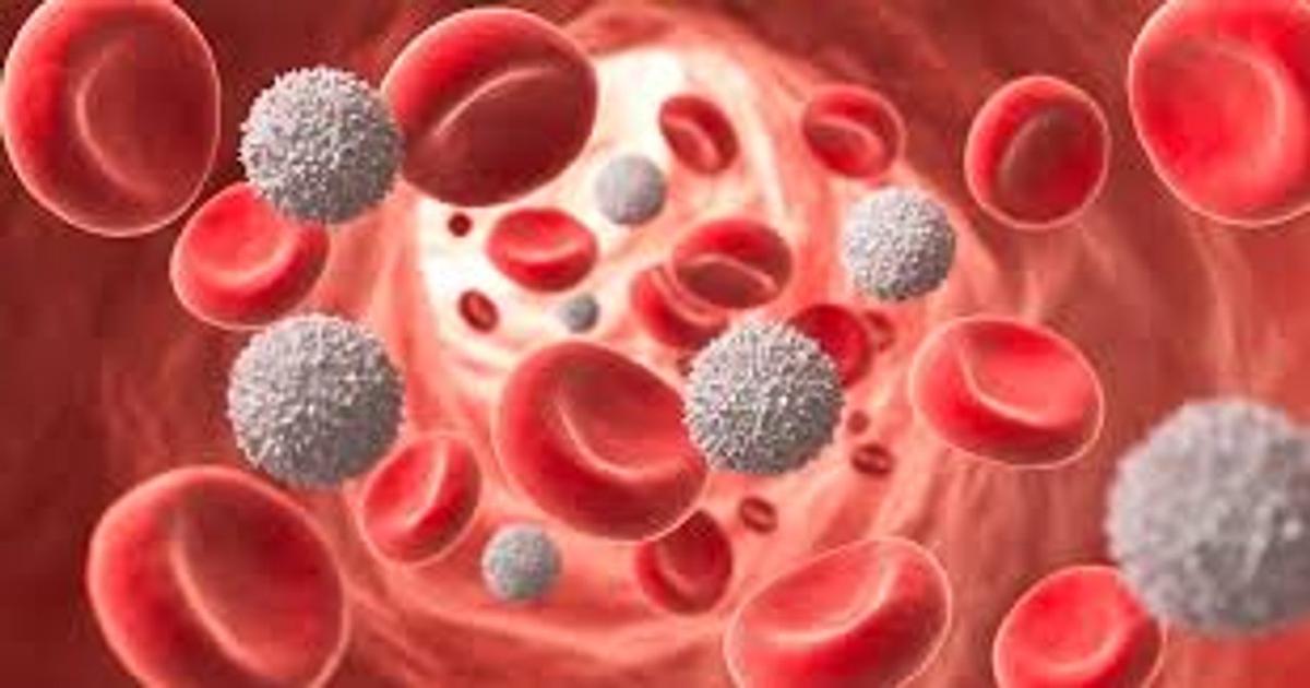 Día Mundial de la Enfermedad de Kawasaki: información esencial sobre su impacto