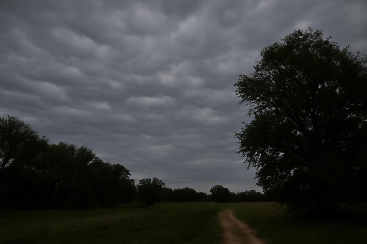 Clima en Córdoba: cómo seguirá el tiempo este martes 21 de julio