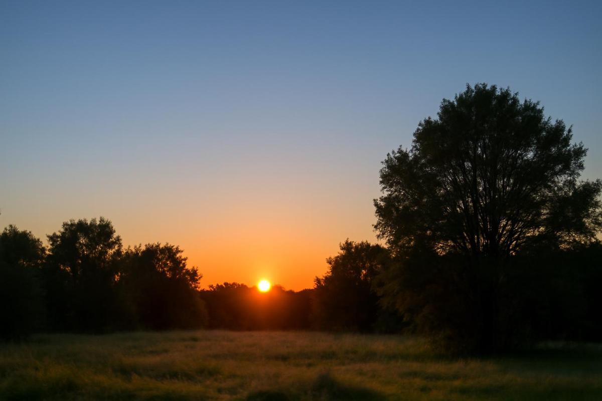 Clima en Córdoba: pronóstico del tiempo para el 10 de diciembre