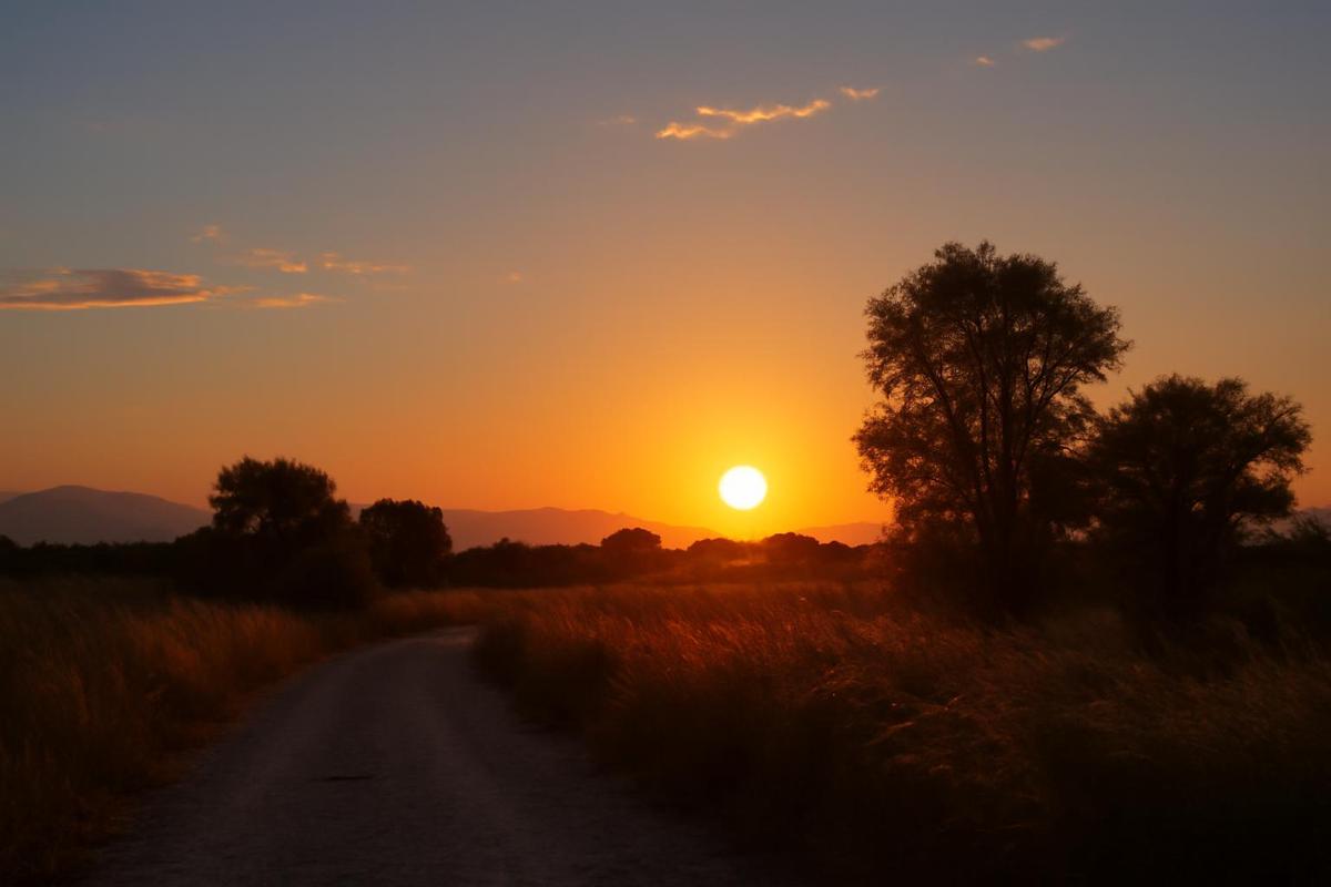 Mendoza: clima despejado y cálido para el 15 de abril