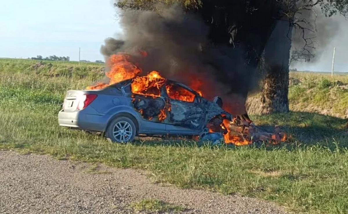 FOTO: Tras el crimen, el hombre chocó contra un árbol en la Ruta 11.