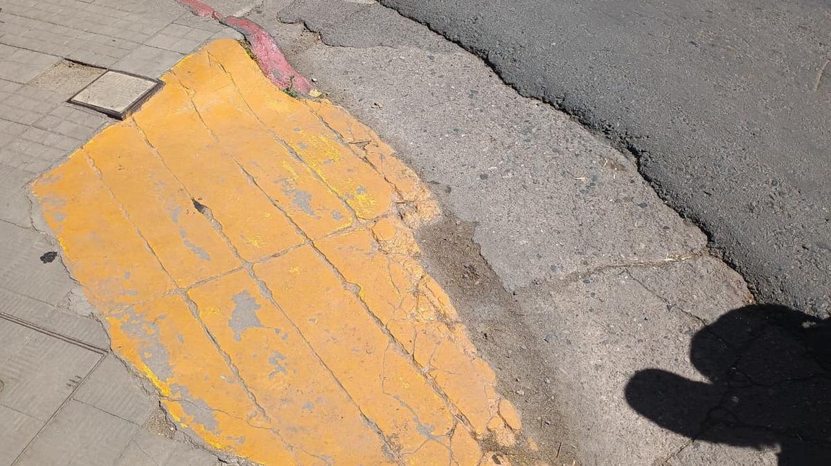 Jóvenes con discapacidad toma la iniciativa de mejorar las veredas