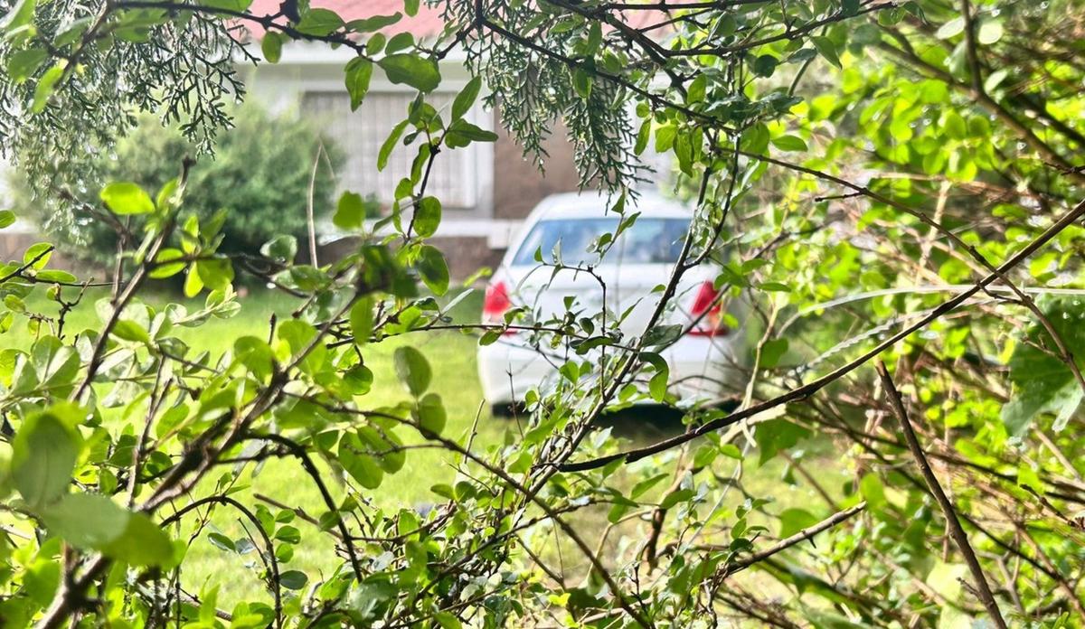 FOTO: Huían de la policía y terminaron incrustados en el patio de una casa