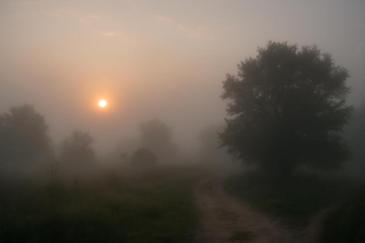 Clima en Córdoba: pronóstico del tiempo para el 29 de marzo