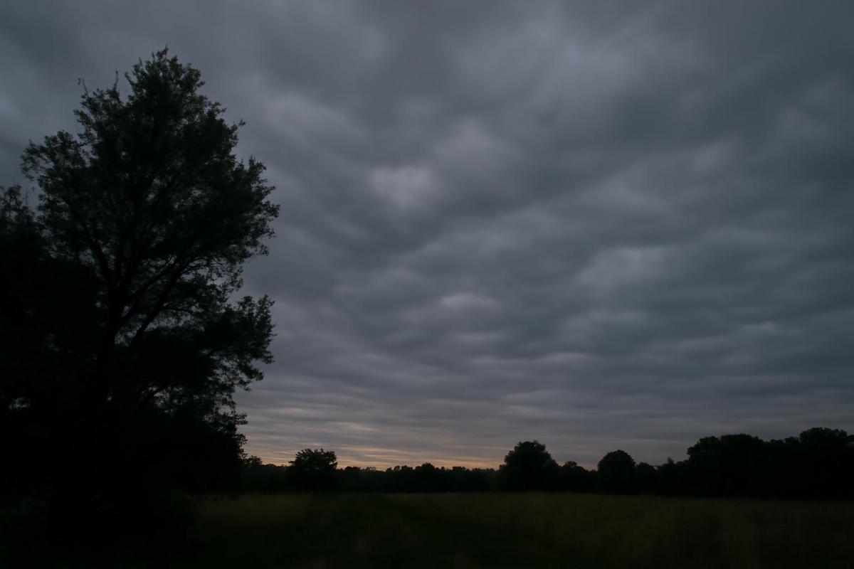 Clima en Santa Fe: pronóstico del tiempo para el 30 de agosto