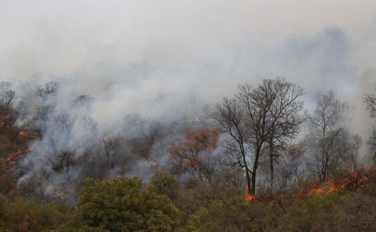 FOTO: Se reinició el fuego en Capilla del Monte y San Marcos. (Daniel Cáceres/Cadena 3)