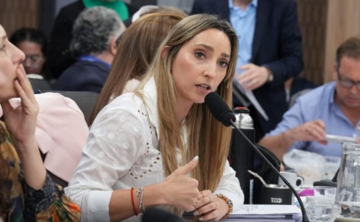 Julia Strada, diputada nacional de Unión por la Patria.