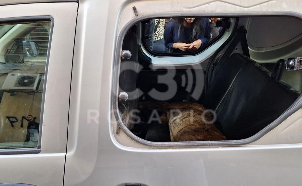 FOTO: La Policía rompió un vidrio y rescató al perro. 