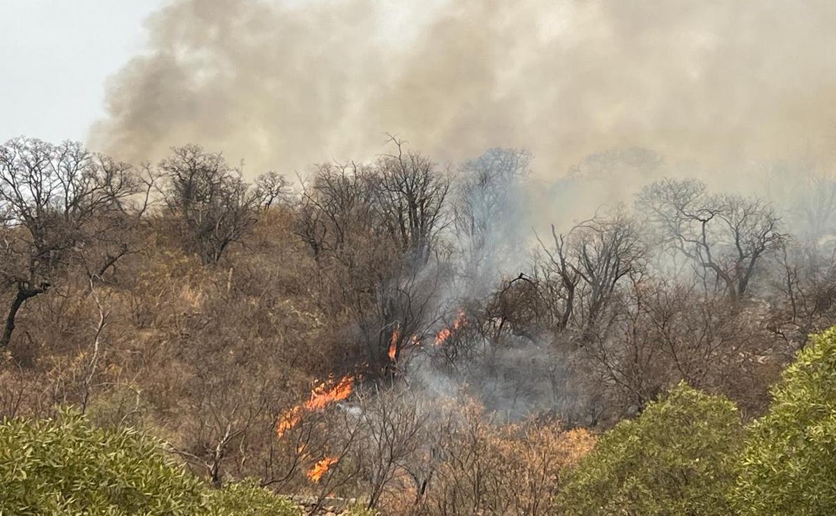 FOTO: Se reinició el fuego en Capilla del Monte y San Marcos. (Daniel Cáceres/Cadena 3)