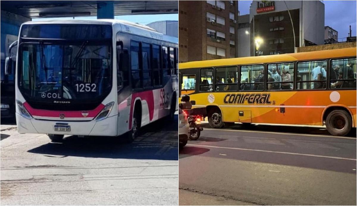 SiBus y Coniferal se harán cargo de cuatro líneas de Tamse en Córdoba.