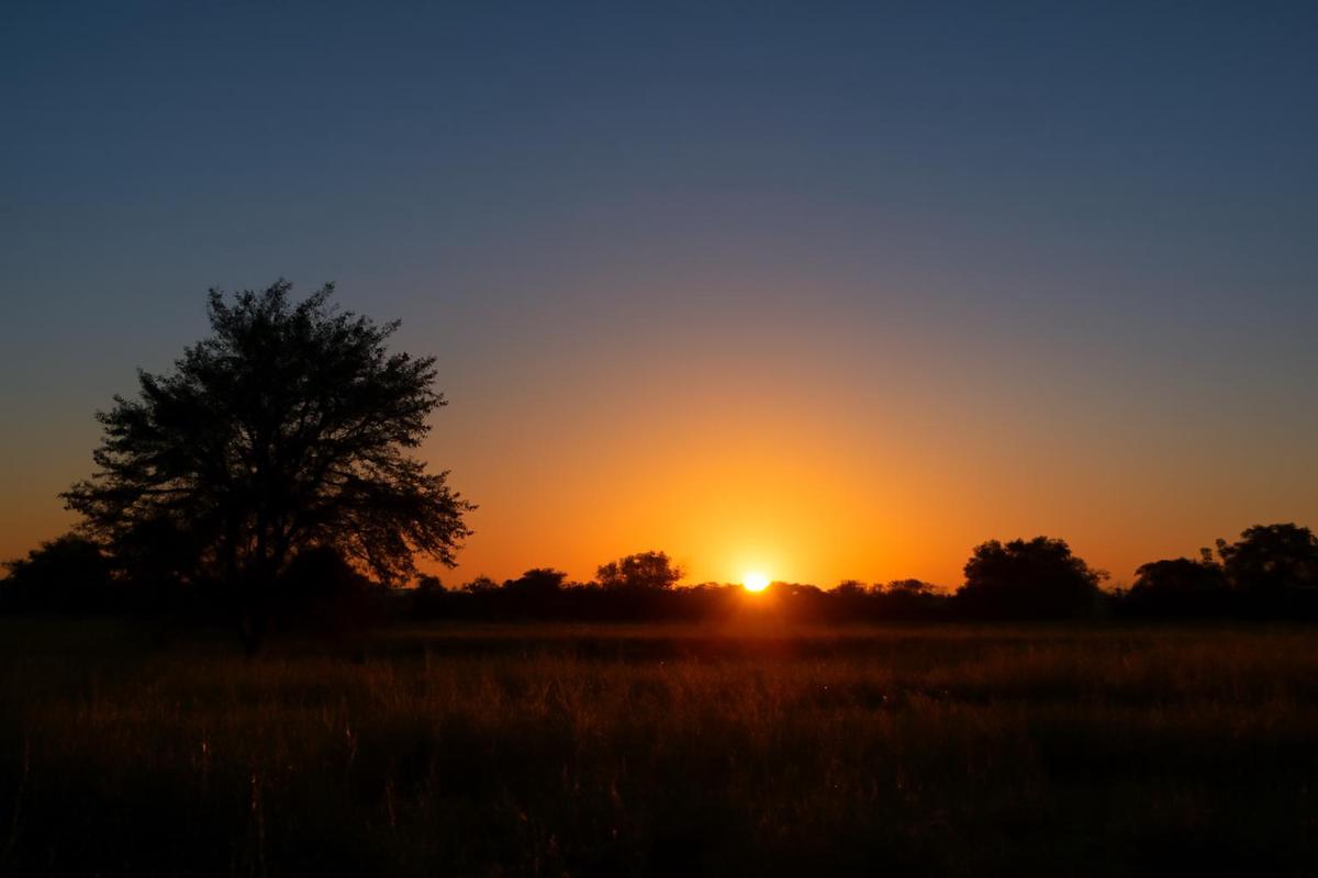 Clima soleado en Mendoza para el domingo 27 de septiembre