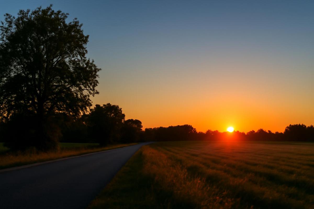 Mendoza: clima soleado y caluroso para el martes 9 de diciembre