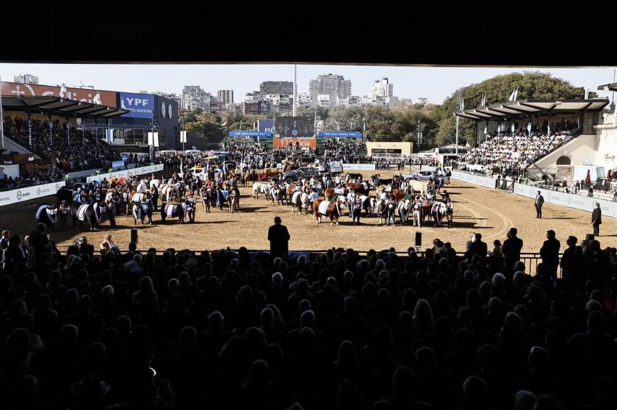 Expo Palermo 2026