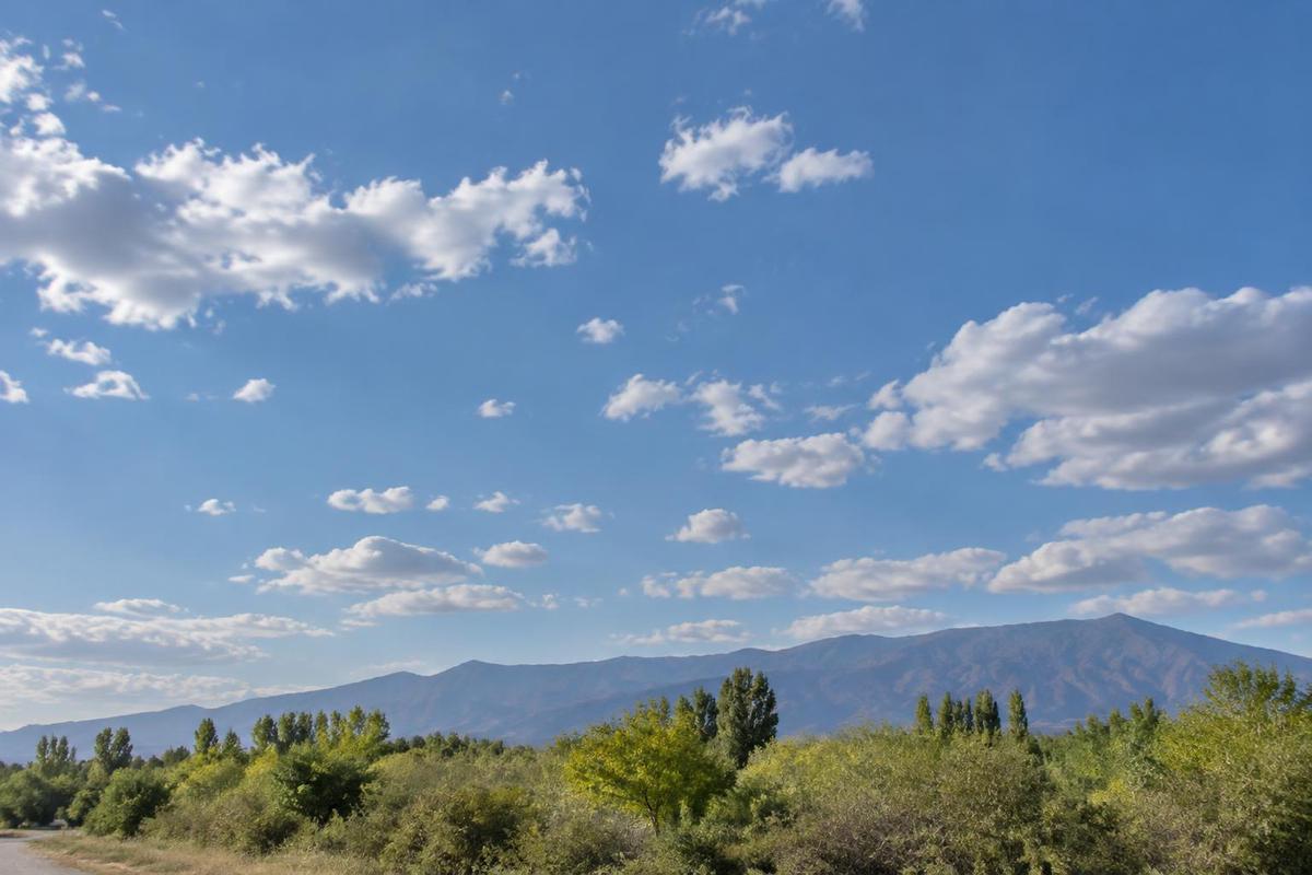 Clima en Mendoza: condiciones del tiempo para el 31 de octubre