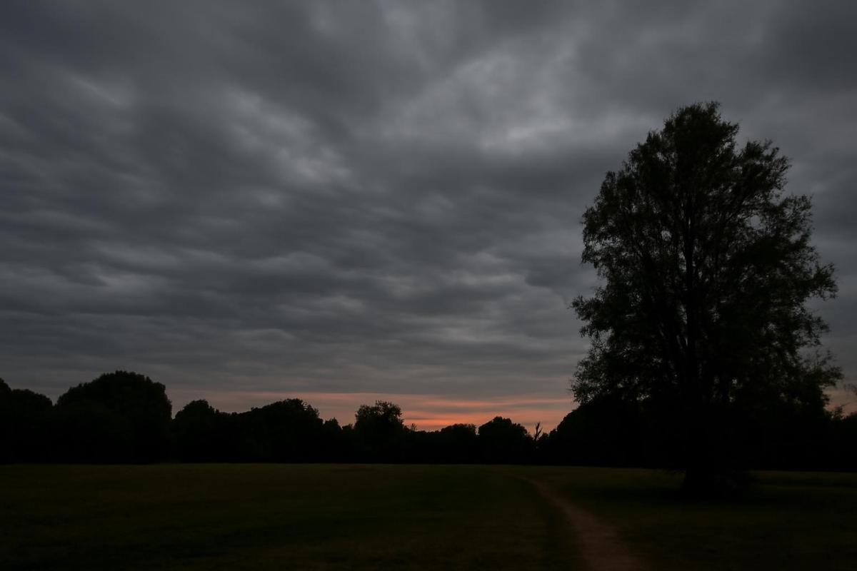 Clima en Córdoba: pronóstico del tiempo para el 6 de abril