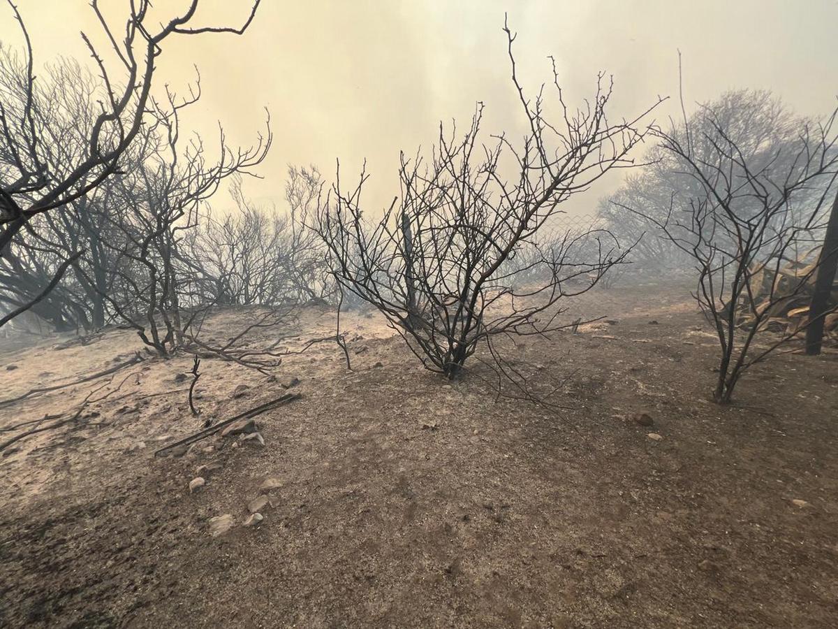 FOTO: Incendio en Capilla del Monte (Foto: Daniel Cáceres/Cadena 3).