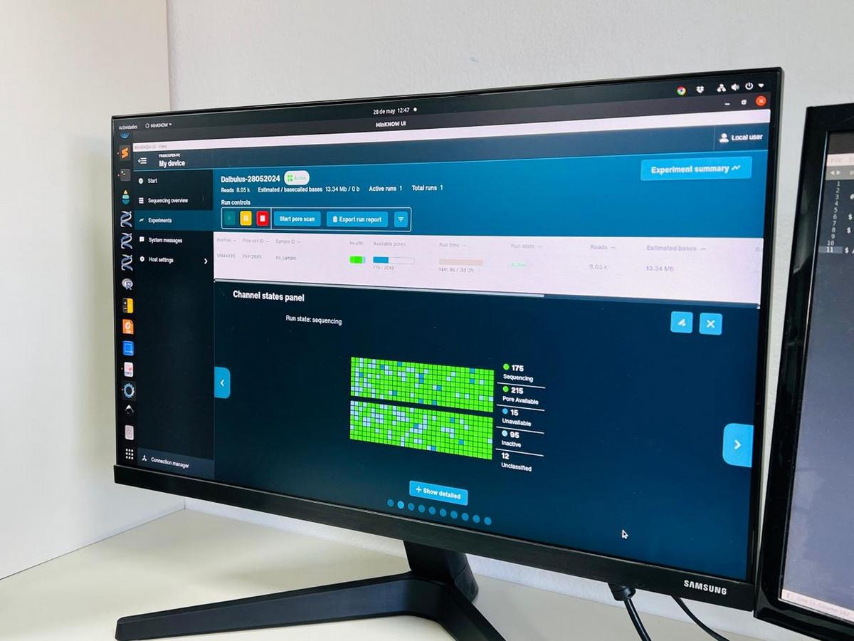 La secuenciación del genoma se logró en 48 horas con tecnología de punta.