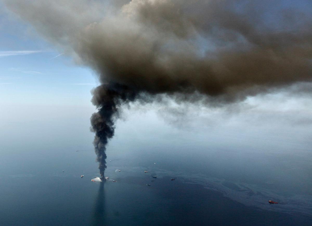 La vida marina en el golfo de México descendió drásticamente tras el derrame de BP, dice estudio