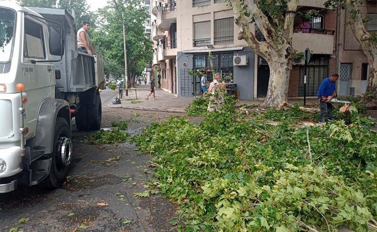 FOTO: ARCHIVO - Las ráfagas de viento hicieron caer árboles y ramas.