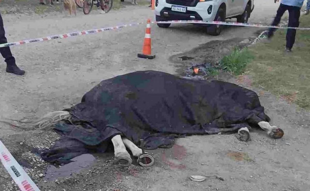 Un niño sobrevive tras la muerte de su caballo por una descarga eléctrica
