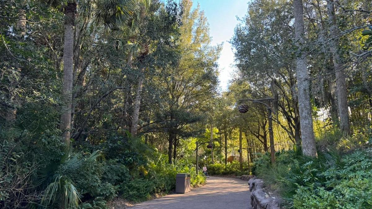 Una experiencia inolvidable en Disney: montañas rusas y aventuras emocionantes