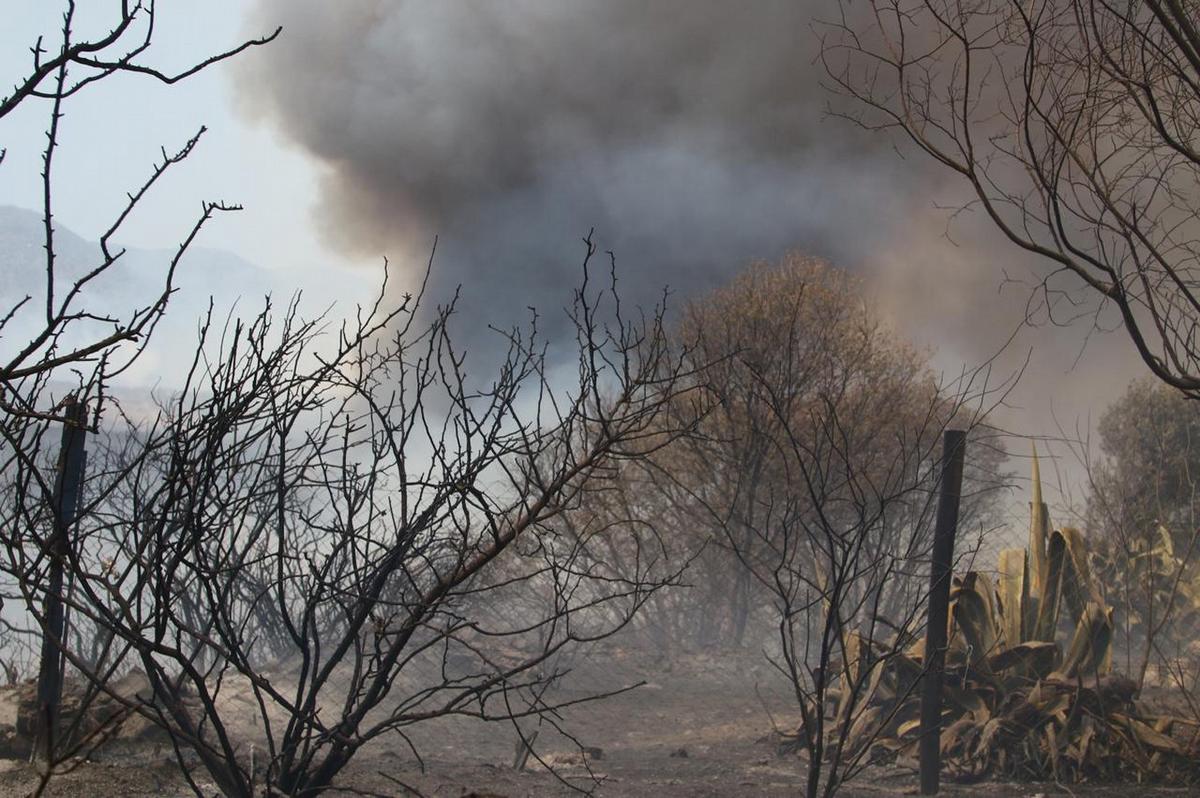 FOTO: Desesperación por los incendios en Los Cocos. (Foto: Daniel Cáceres/Cadena 3)