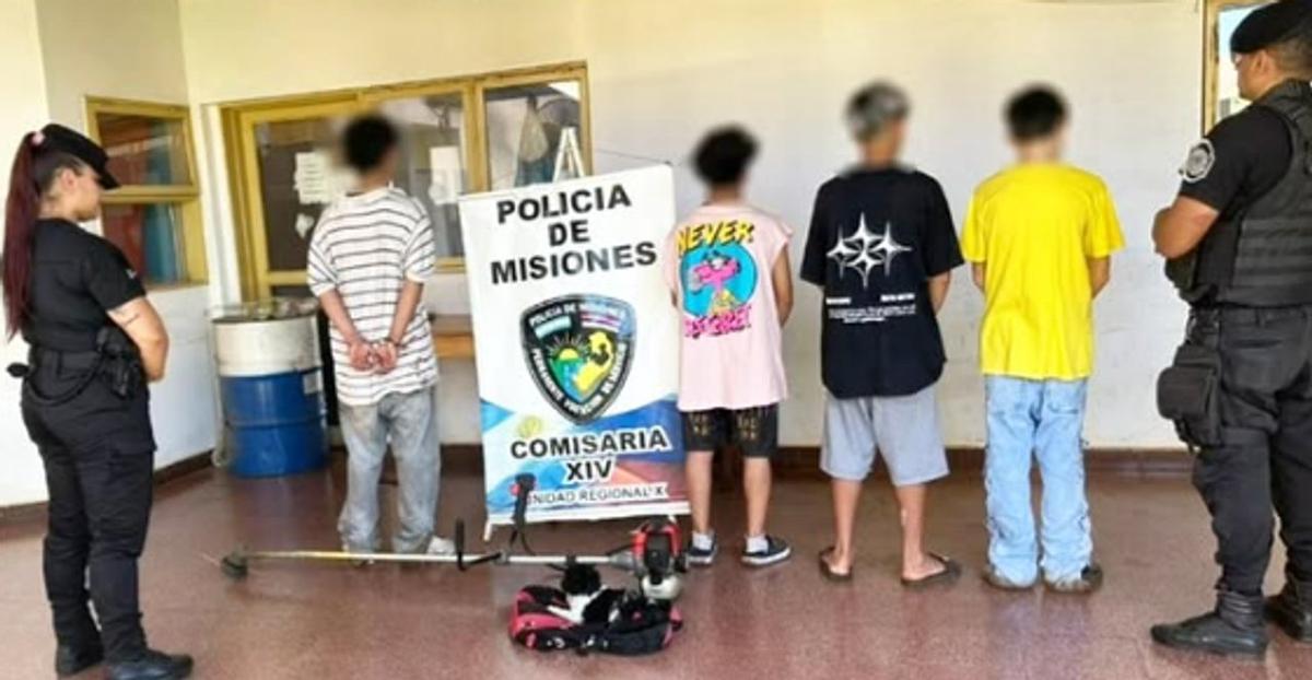 Un ladrón amenazó con asfixiar a un caniche robado para evitar ser detenido