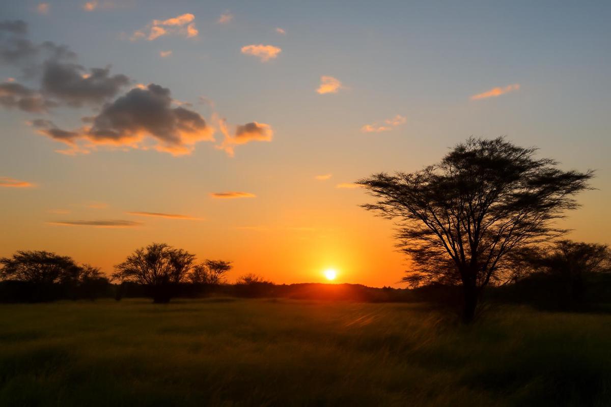 Estado del tiempo en Córdoba para el 14 de febrero