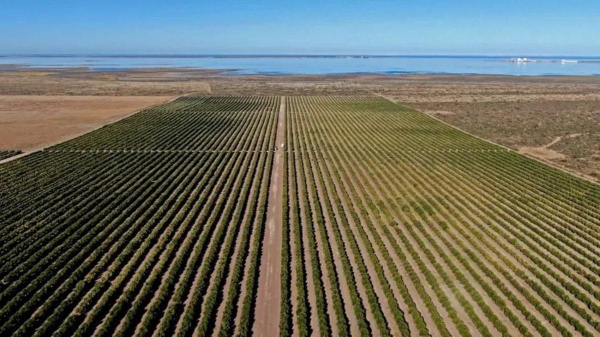 Oleosan, la empresa familiar que opera desde hace 25 años.