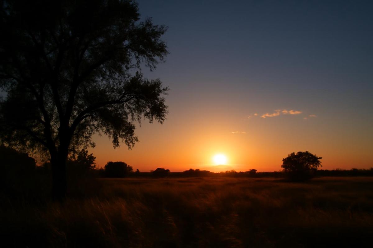 Clima en Mendoza: pronóstico del tiempo para el 22 de septiembre