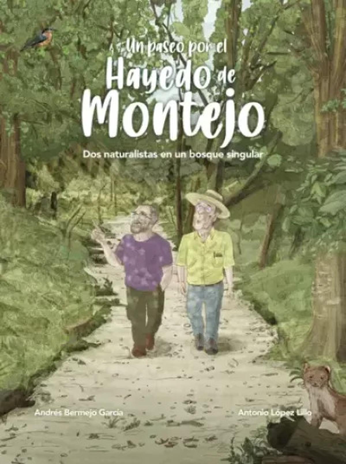 Un paseo por el Hayedo de Montejo: explorando un bosque singular en España