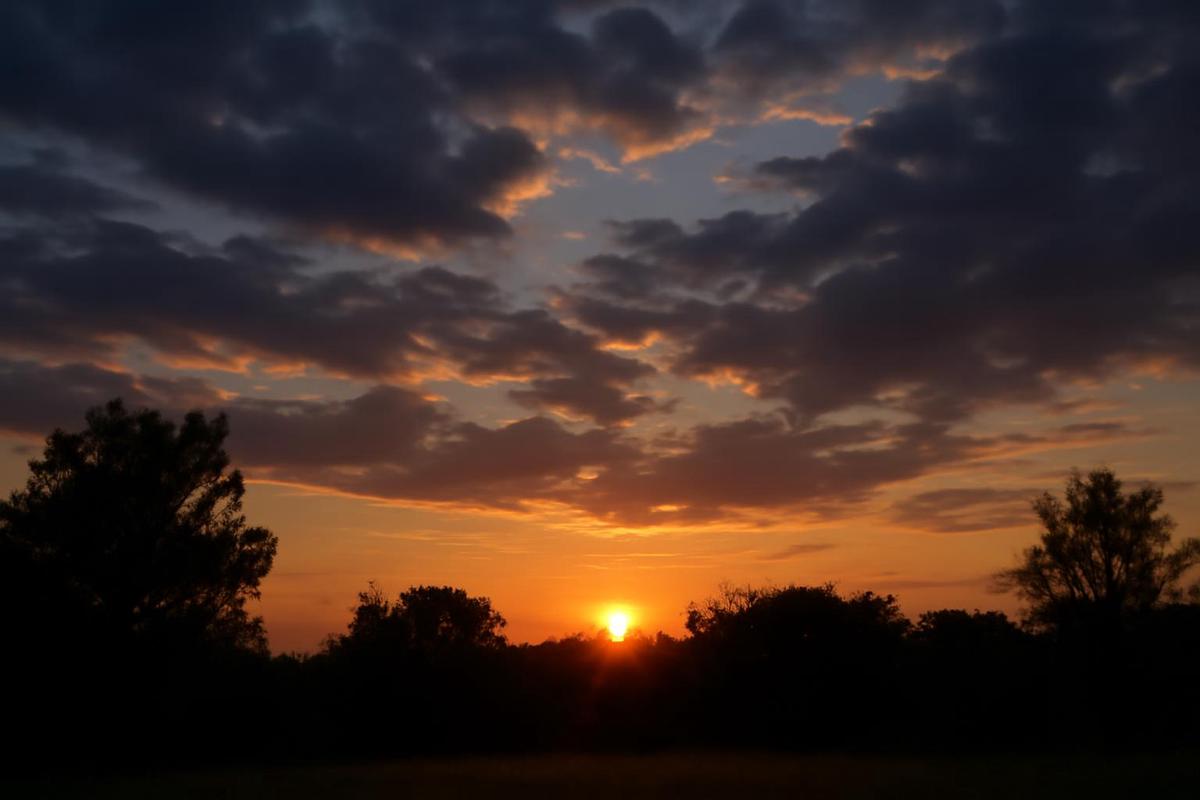 Clima en Rosario: pronóstico del tiempo para el 9 de diciembre