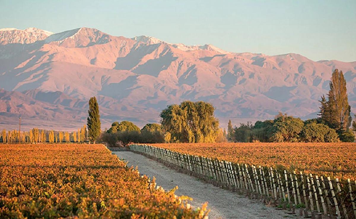 FOTO: Mendoza, una provincia para descubrir y volver cada año. (Foto: NA/Canopus Vinos)