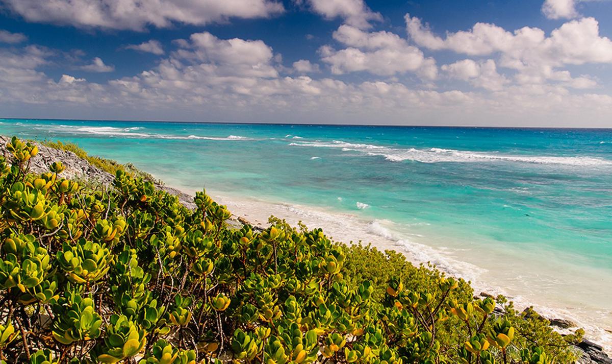 Las paradisíacas playas de Cayo Largo del Sur. (Foto: Alessandro Caporini)