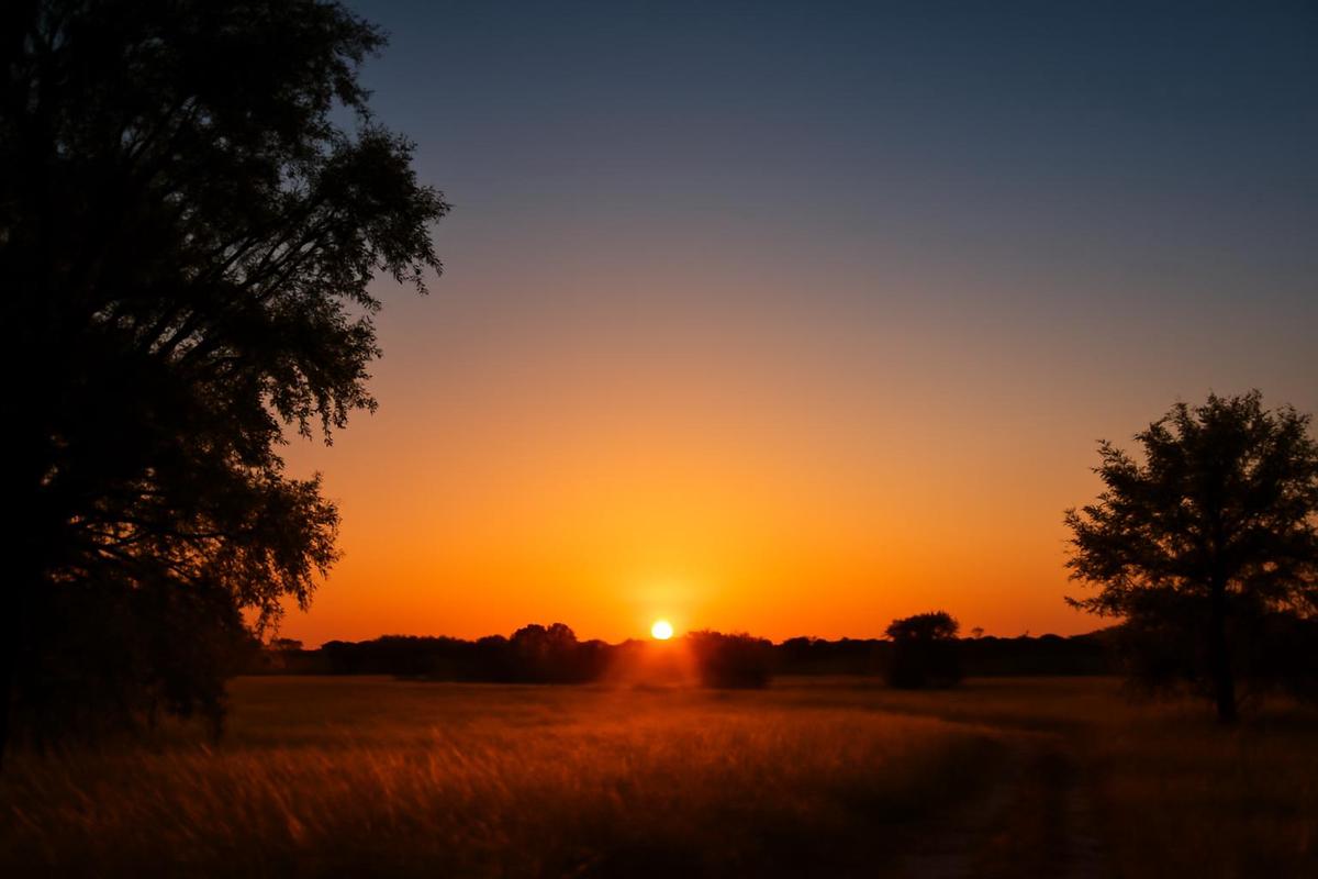 Clima en Mendoza: pronóstico del tiempo para el 20 de diciembre