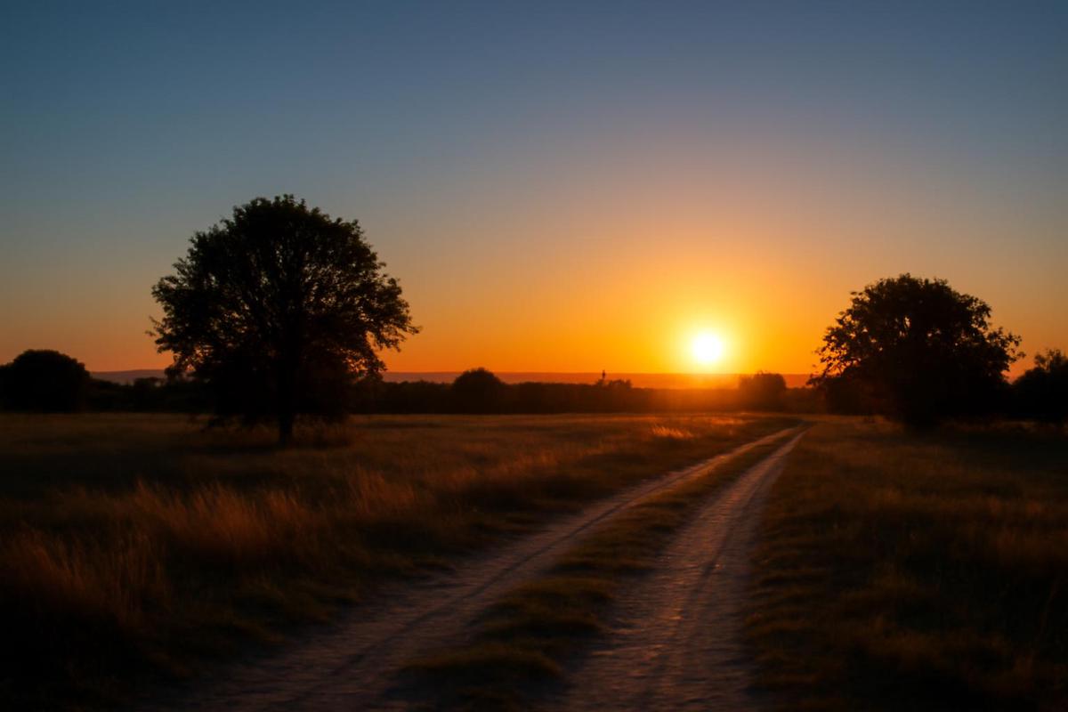 Clima en Salta: pronóstico del tiempo para el 4 de abril