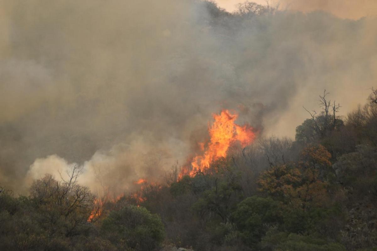 FOTO: Sigue el combate del fuego en Capilla del Monte. (Daniel Cáceres/Cadena 3)