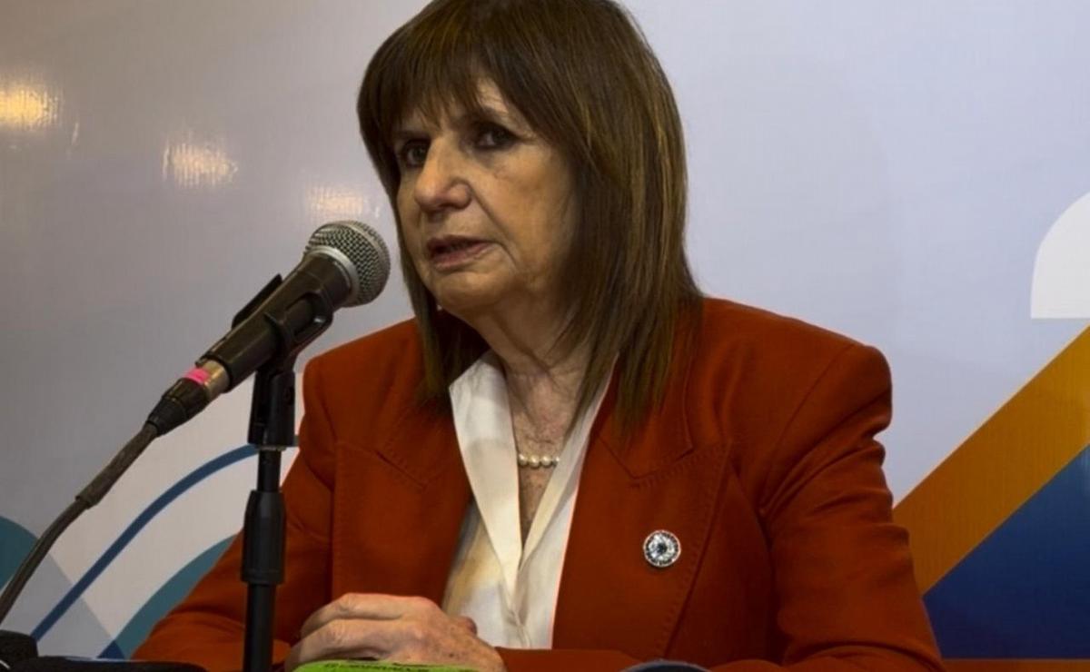 Patricia Bullrich, senadora de la Nación.