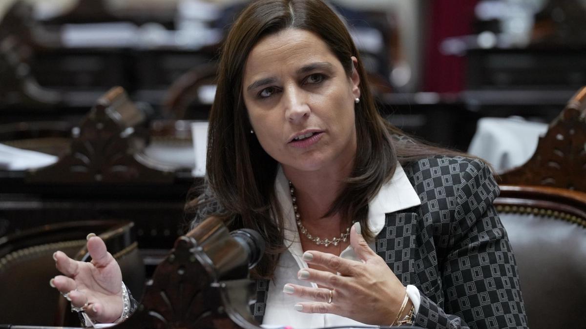 FOTO: Soledad Carrizo, diputada UCR