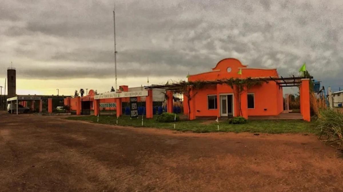 De Siria a Cruz del Eje: una familia que hizo historia con el aceite de oliva