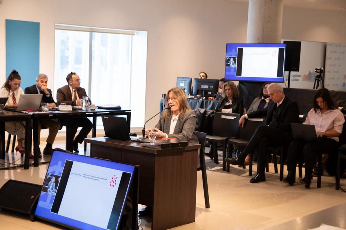 Caso Dalmaso: declararon peritos y se descompuso un integrante del tribunal.